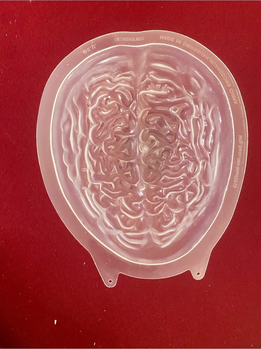 Clear Brain-Shaped Craft Mold - Detailed Silicone/Plastic Mold